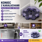 🧹Pułapka na karaluchy – 50% ZNIŻKI! KUP 2 → 1 GRATIS! OFERTA LIMITOWANA!🏠